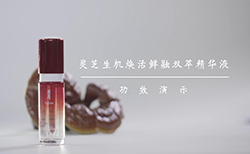 上海两个橘子文化传播有限公司